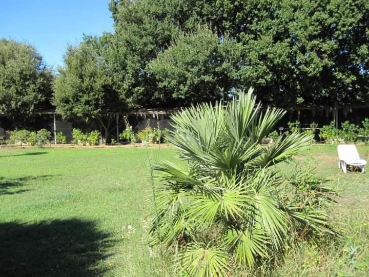 Parco Delle Streghe Villa Scarlino Exterior foto