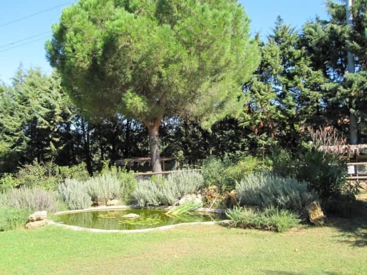 Parco Delle Streghe Villa Scarlino Exterior foto