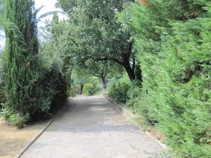 Parco Delle Streghe Villa Scarlino Exterior foto