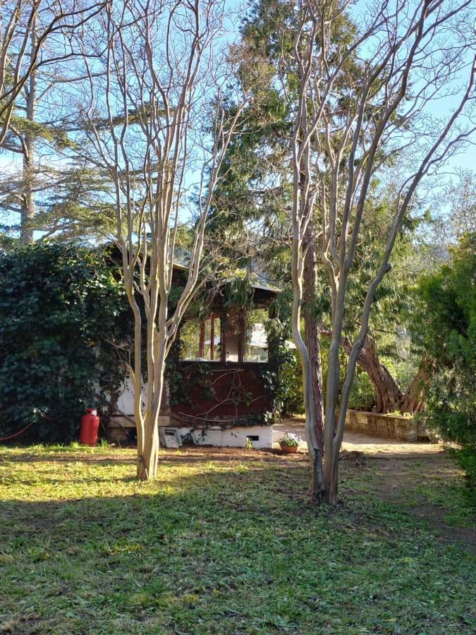 Parco Delle Streghe Villa Scarlino Exterior foto